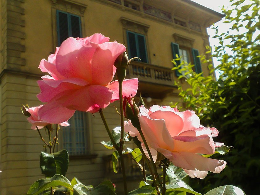 marta-guest-house-04