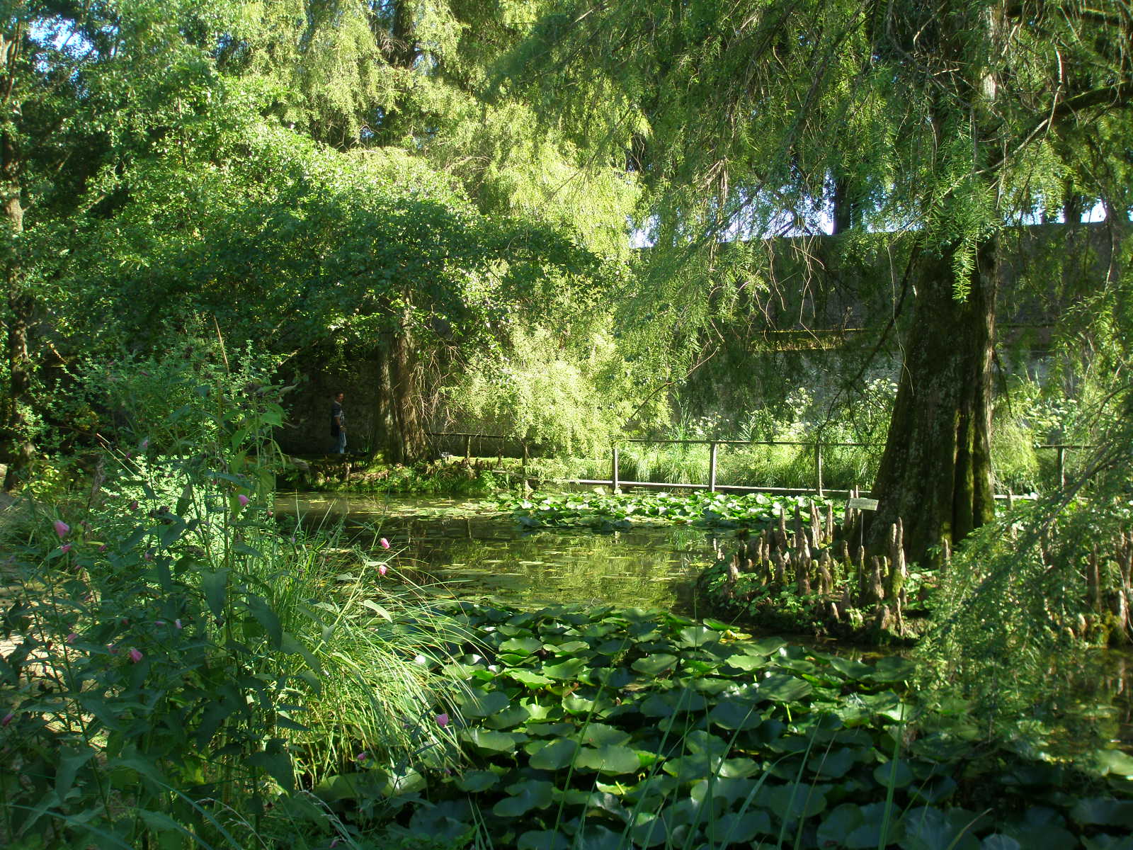 Orto botanico di Lucca